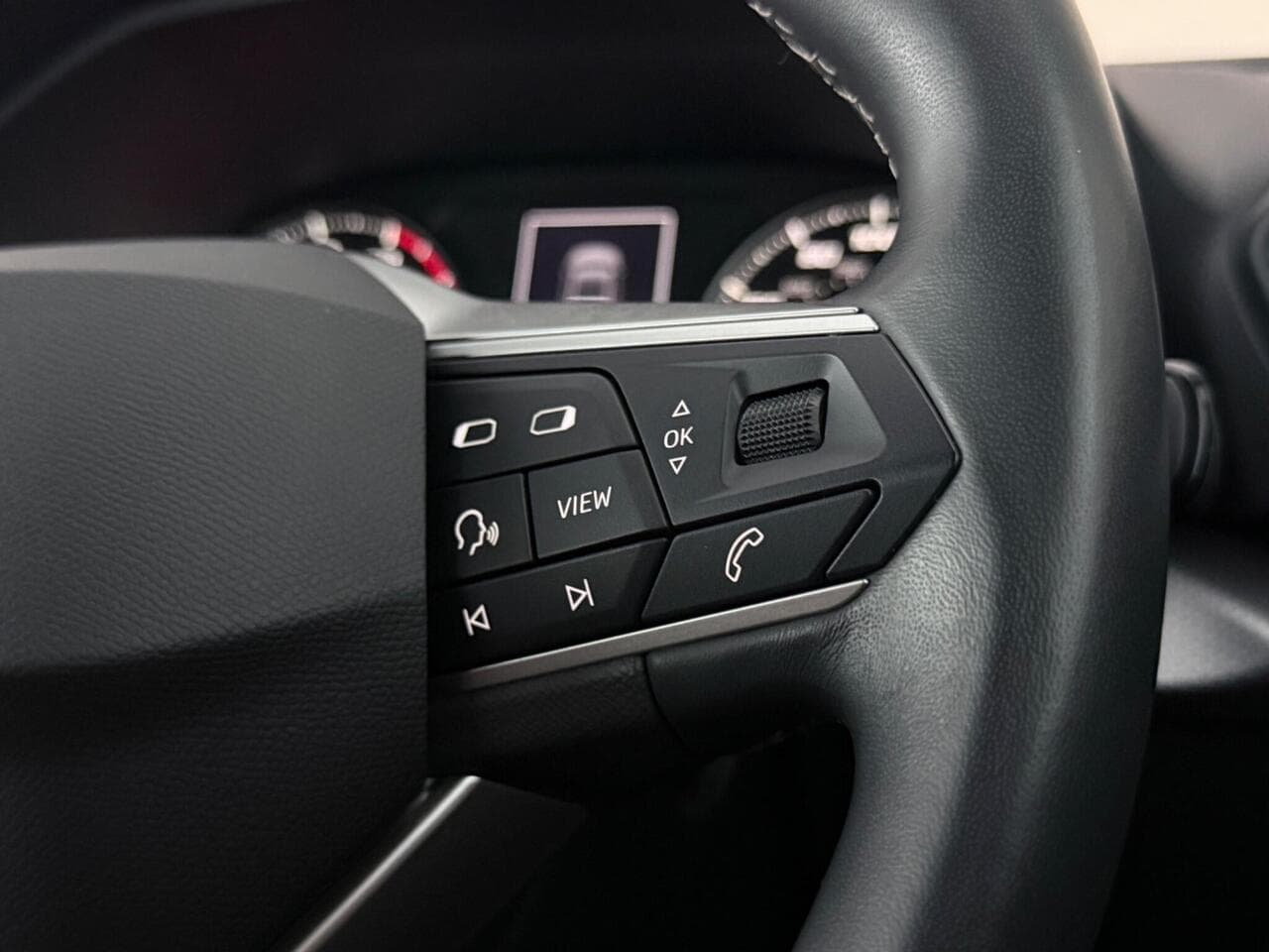 SEAT Leon thumbnail Misc Controls