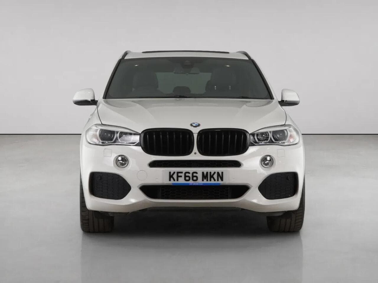 BMW X5 thumbnail Front
