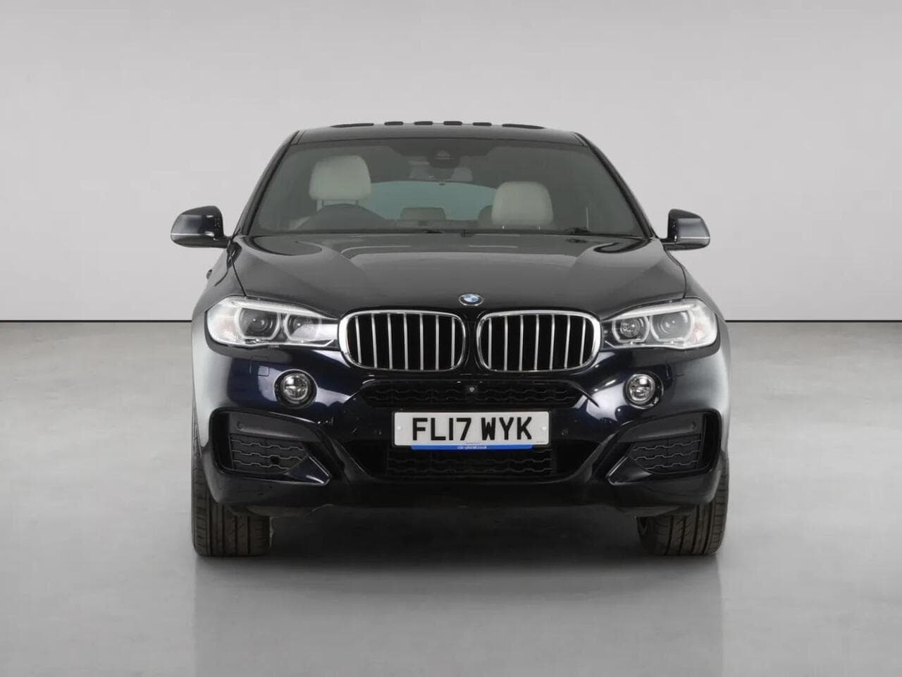 BMW X6 thumbnail Front