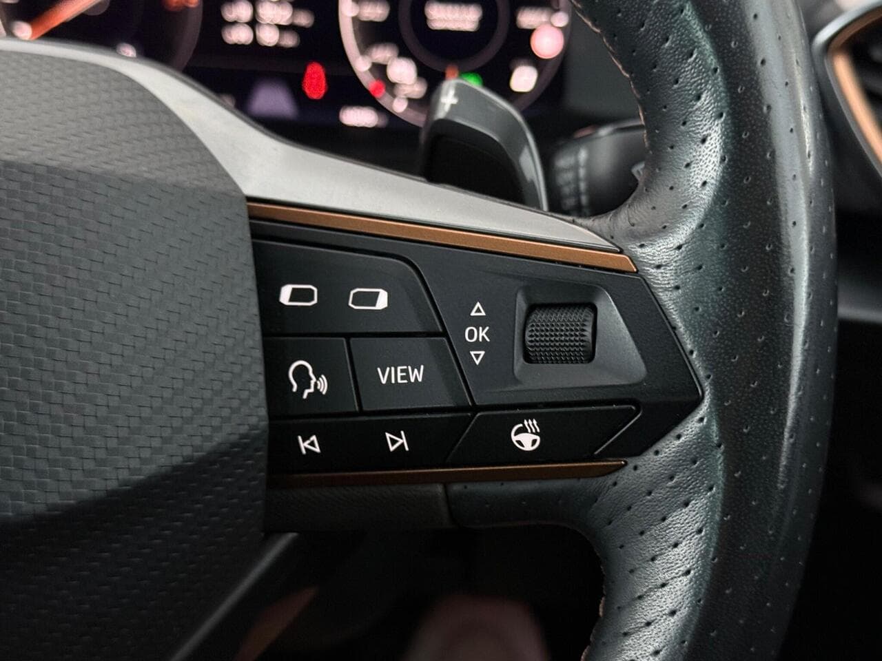 CUPRA Formentor thumbnail Misc Controls