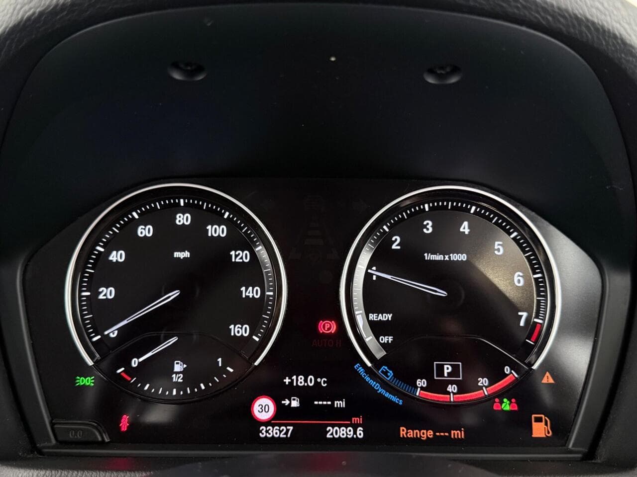 BMW X1 thumbnail Driver Instruments