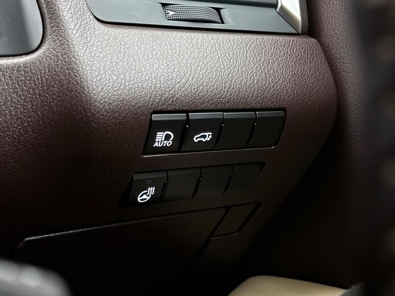 Lexus RX thumbnail Misc Controls