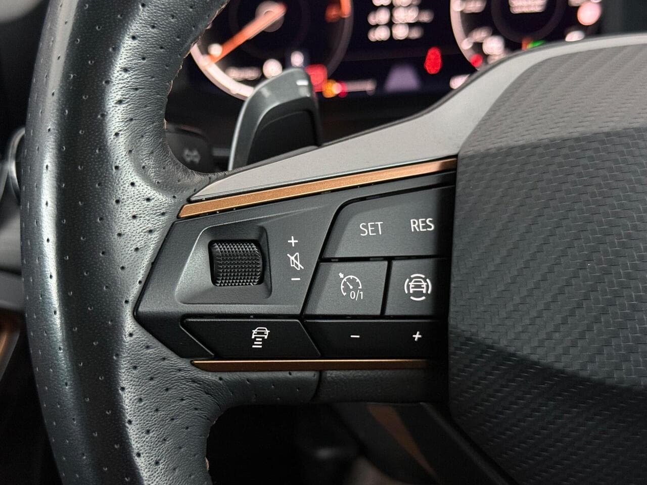 CUPRA Formentor thumbnail Misc Controls