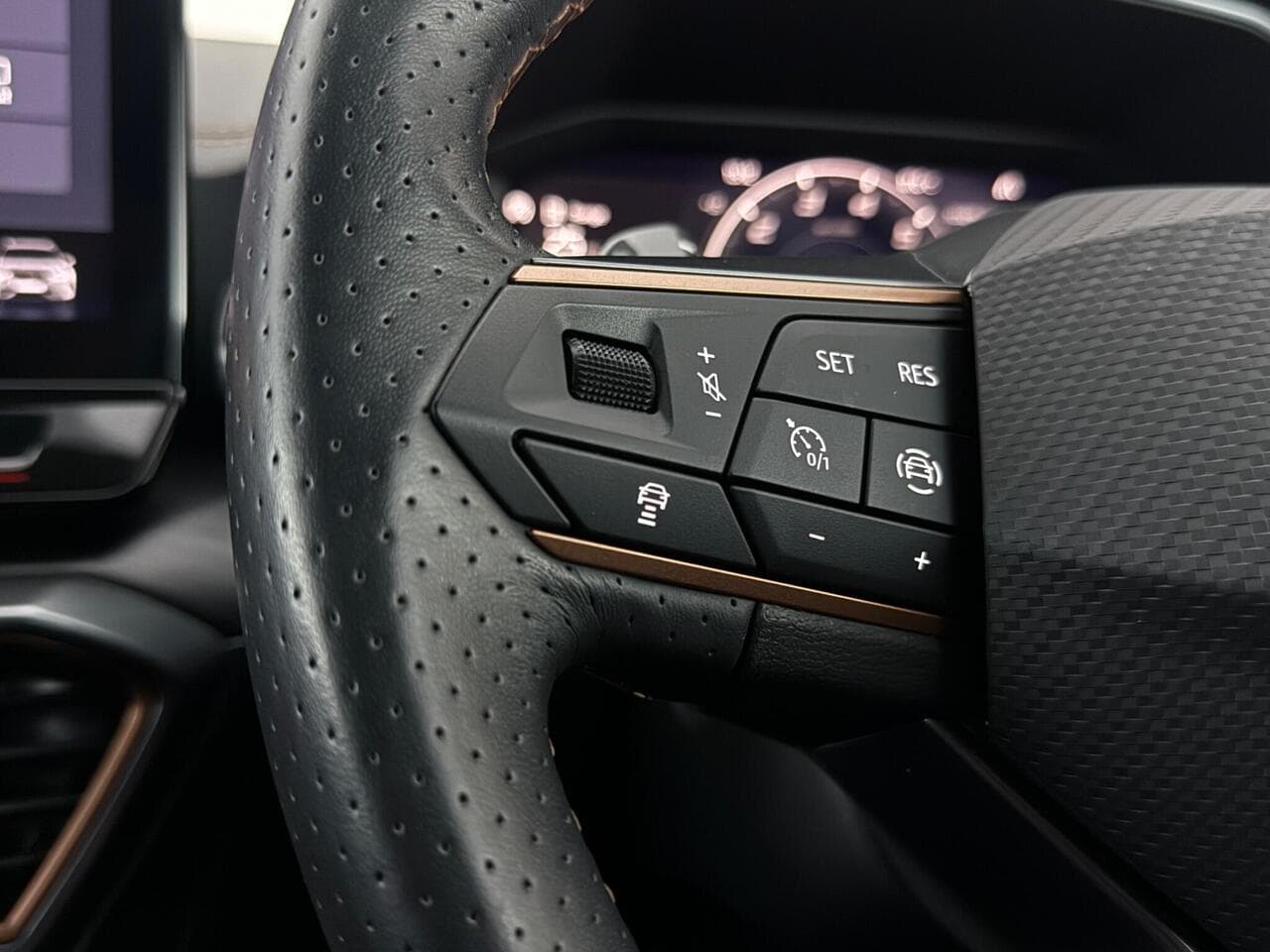CUPRA Formentor thumbnail Misc Controls