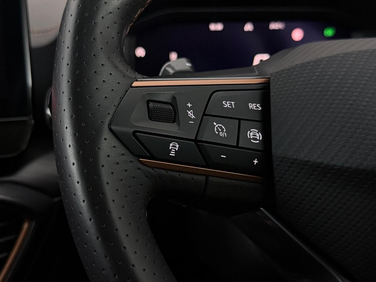 CUPRA Formentor thumbnail Misc Controls