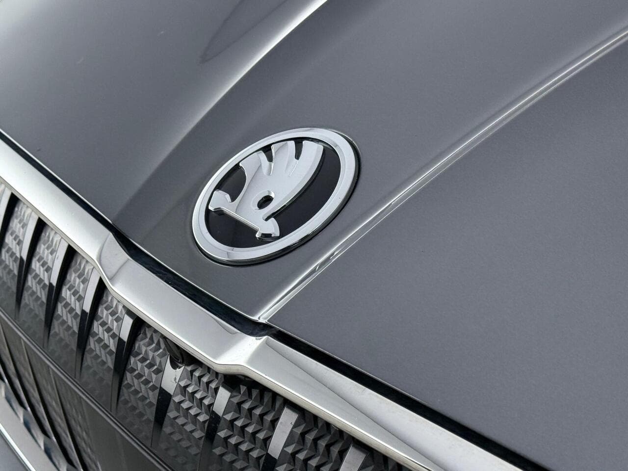 Skoda Enyaq thumbnail Badge Exterior