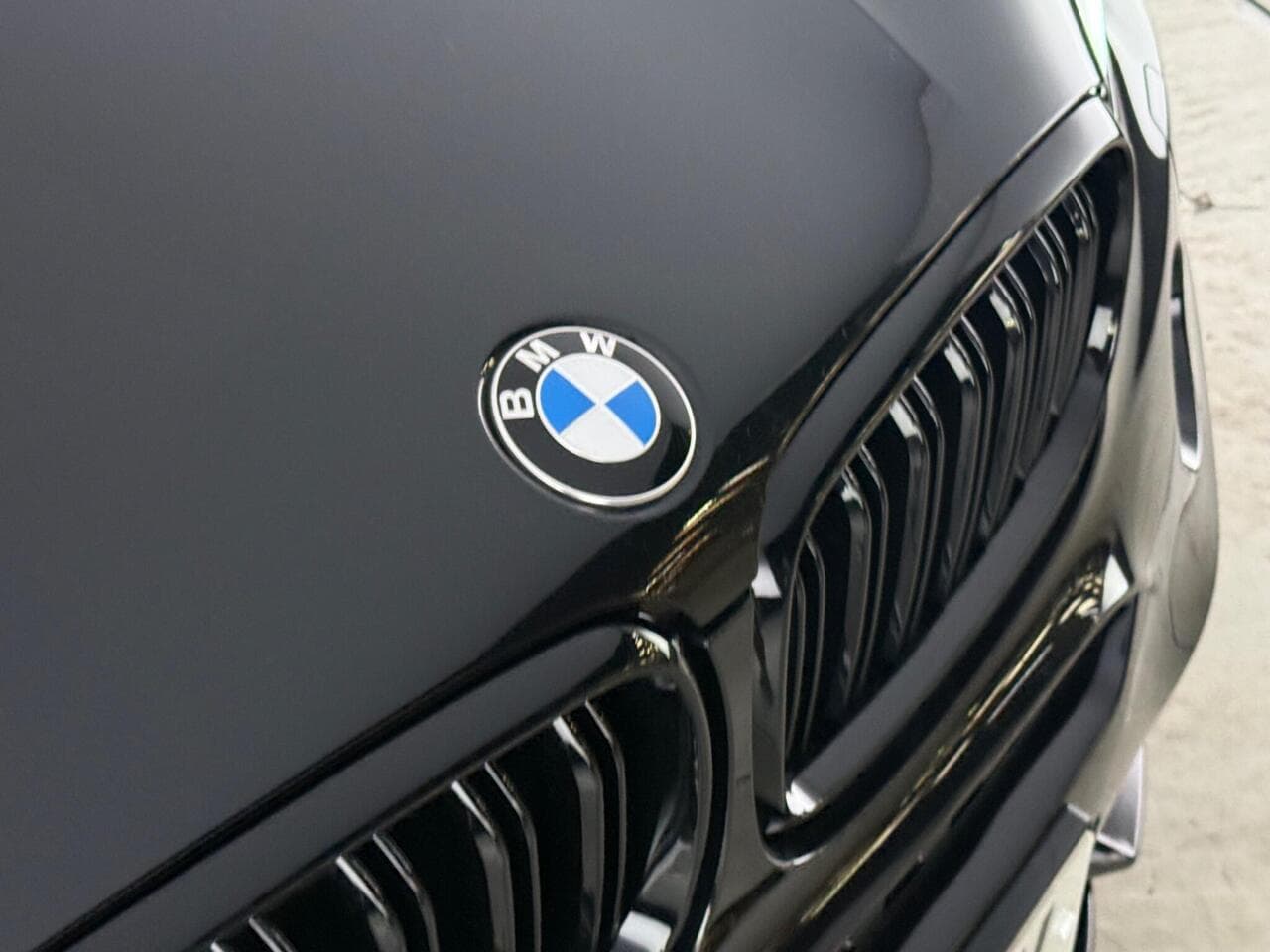 BMW X6 thumbnail Badge Exterior