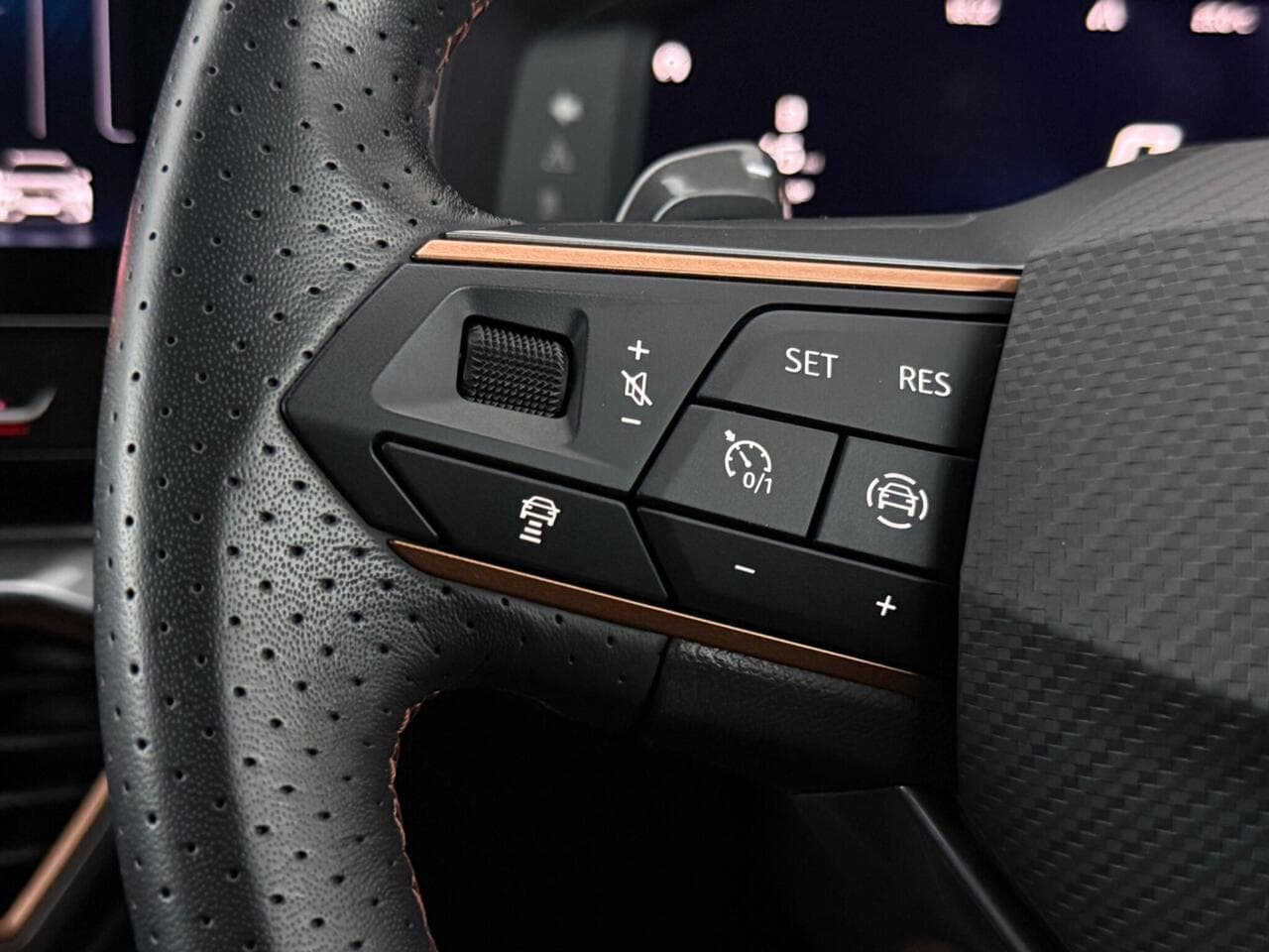 CUPRA Formentor thumbnail Misc Controls