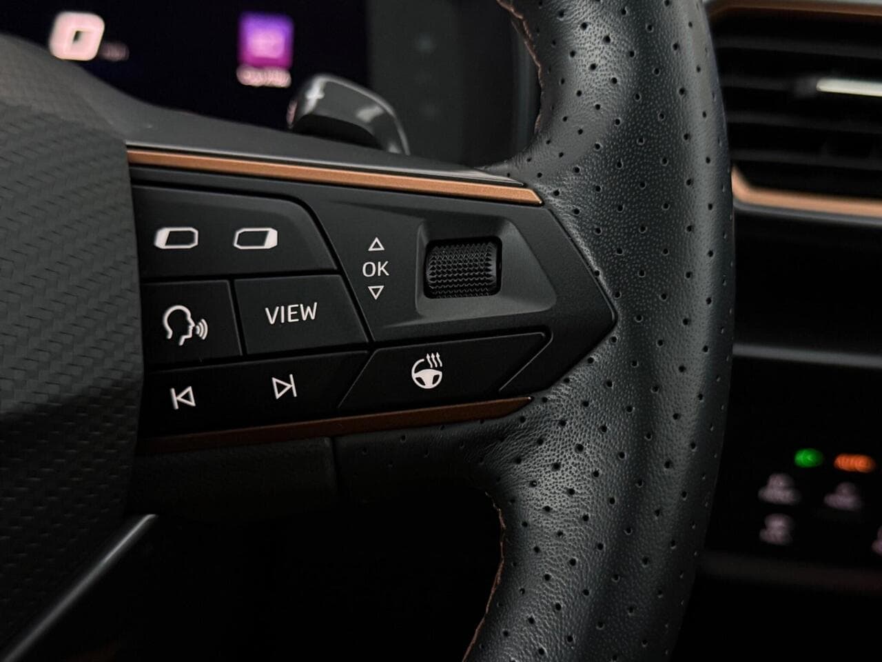 CUPRA Formentor thumbnail Misc Controls