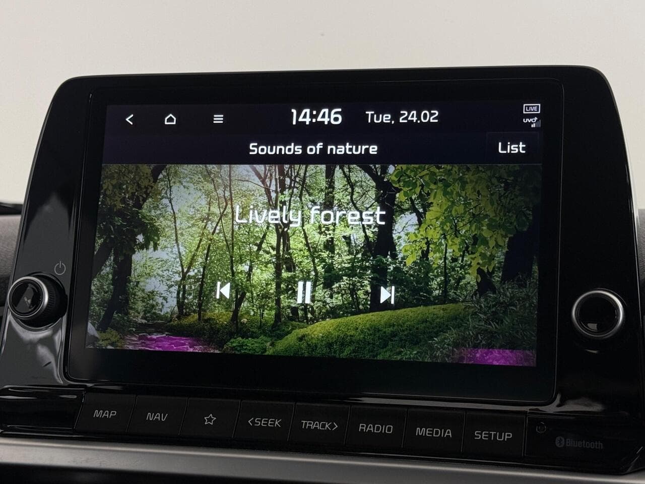 Kia Picanto thumbnail Infotainment System